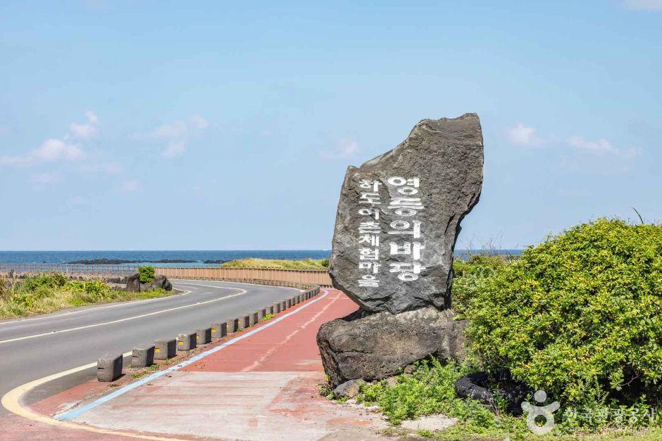 제주 가족 여행 BEST 12