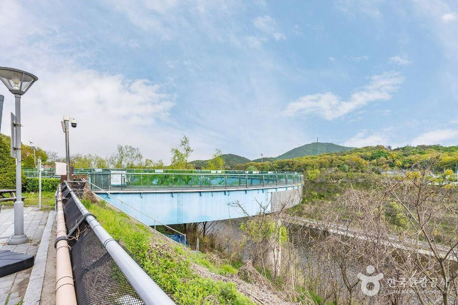 아라마루 전망대