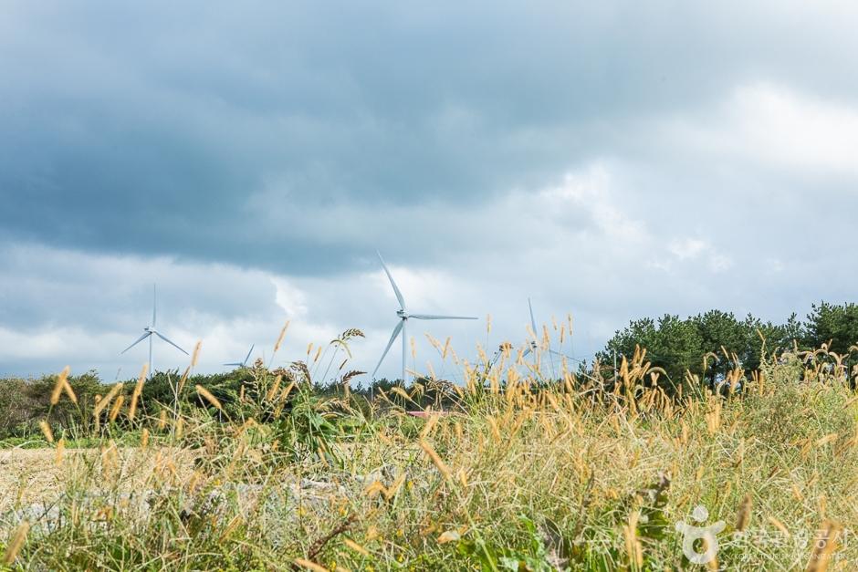 가시리국산화풍력발전단지