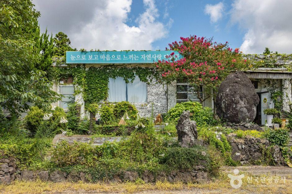 자연사랑미술관