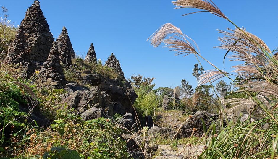 제주탐나라공화국