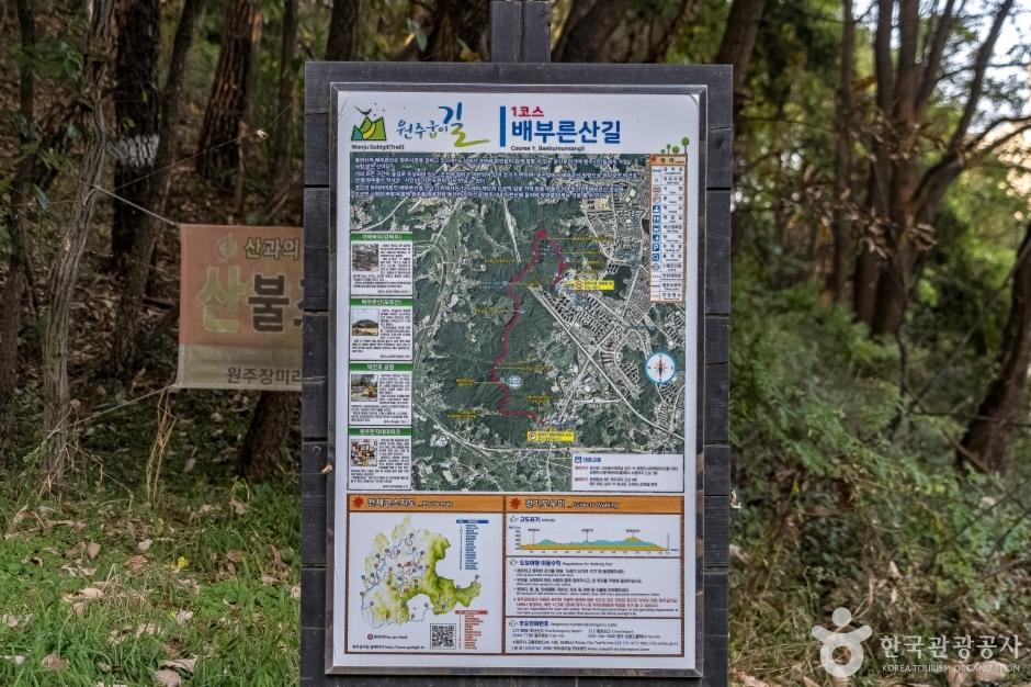 배부른산