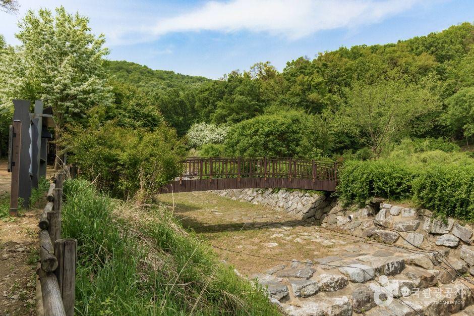 우면산자연생태공원