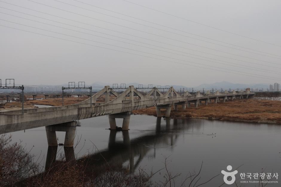 비비정예술열차