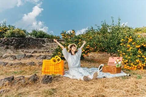인원 추가금 없이 제주 스냅 촬영이라고요?"... 45분부터 1시간까지 가족 커플 우정 만삭 제주 스냅