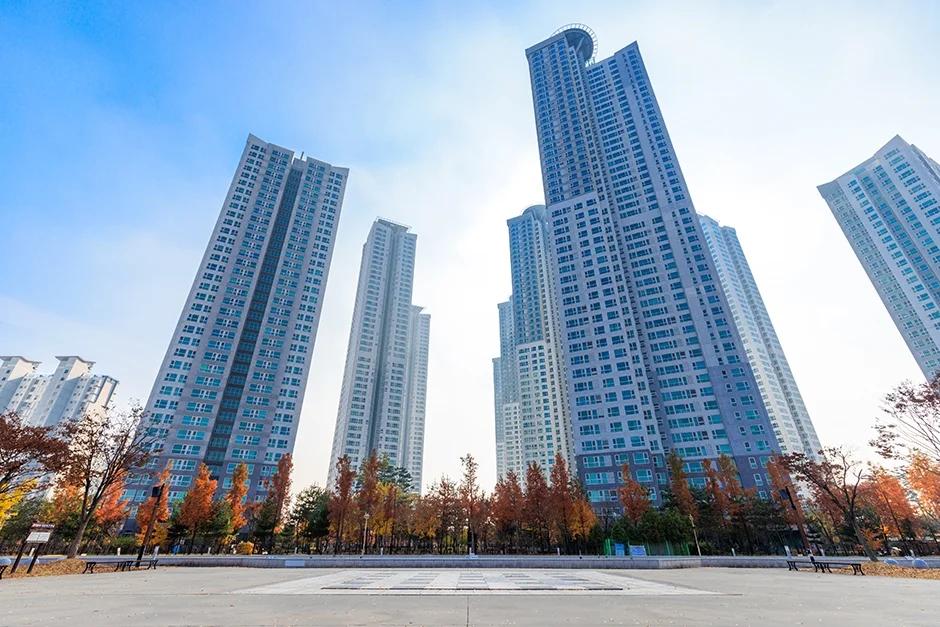 알록달록 산호초가 대전 한복판에?"... 대덕구 금강로하스산호빛공원, 이색 풍경으로 가득