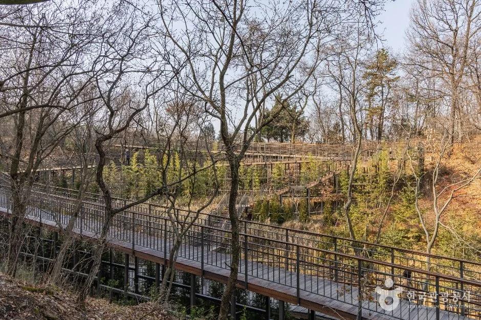 강남 대모산도시자연공원, 희귀 나무 자연 학습장 위치
