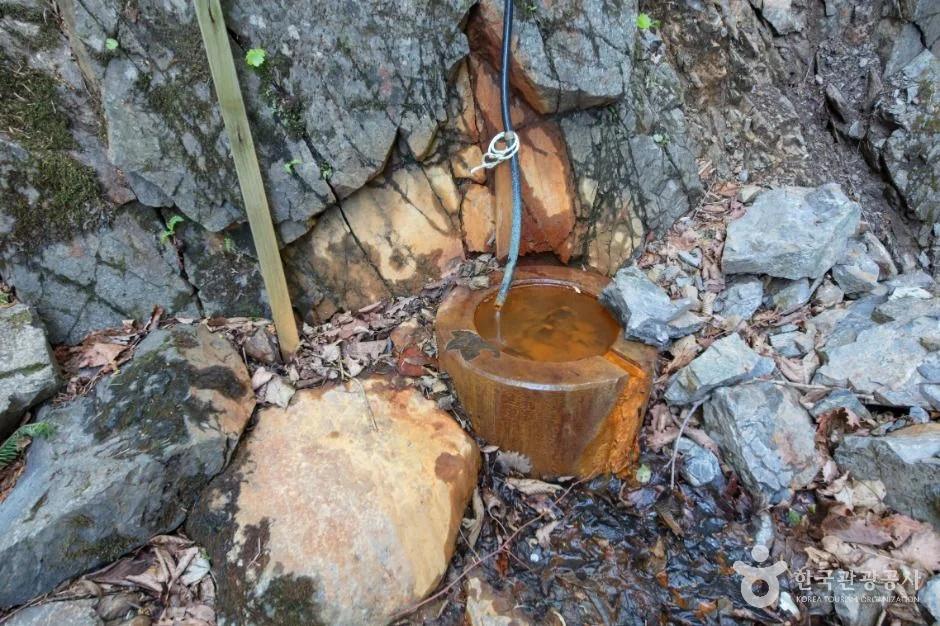 단 100m만 걸어도 불로장생 약수터?"... 강원 양양군 불바라기약수터 100년 비경