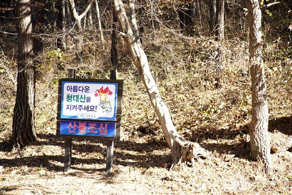 바다 전망이 한눈에"... 강원특별자치도 속초시 청대산에서 만나는 힐링 산책길