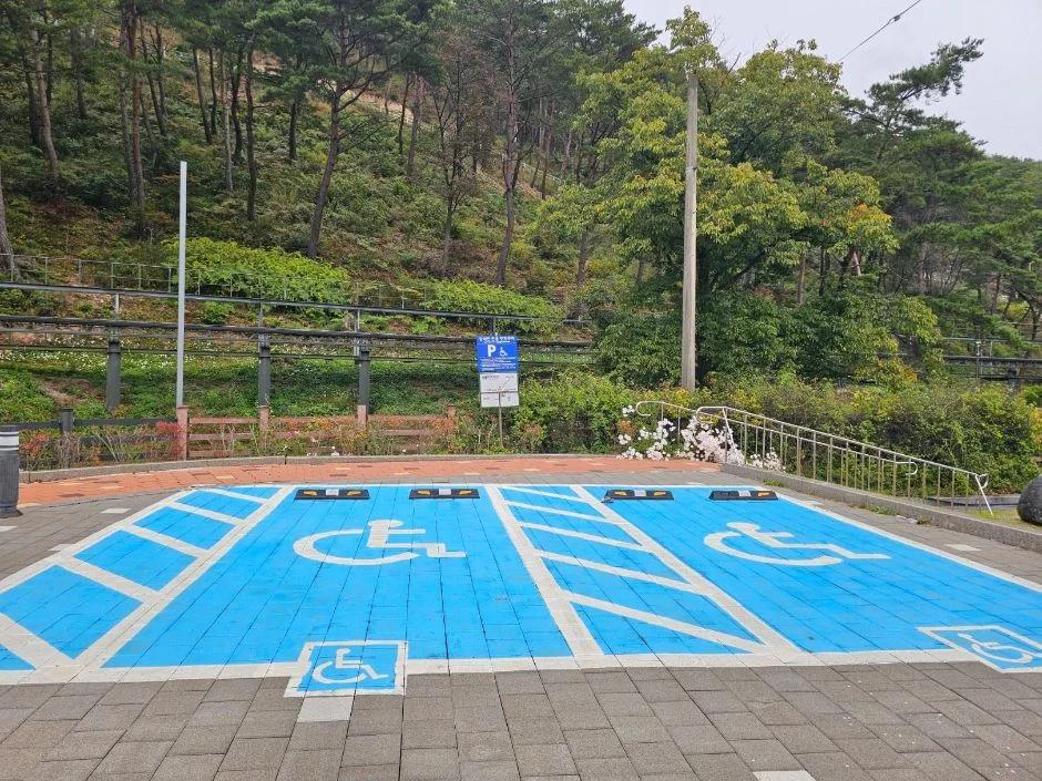 보은 속리산테마파크모노레일, 입장료와 운행 시간 총정리