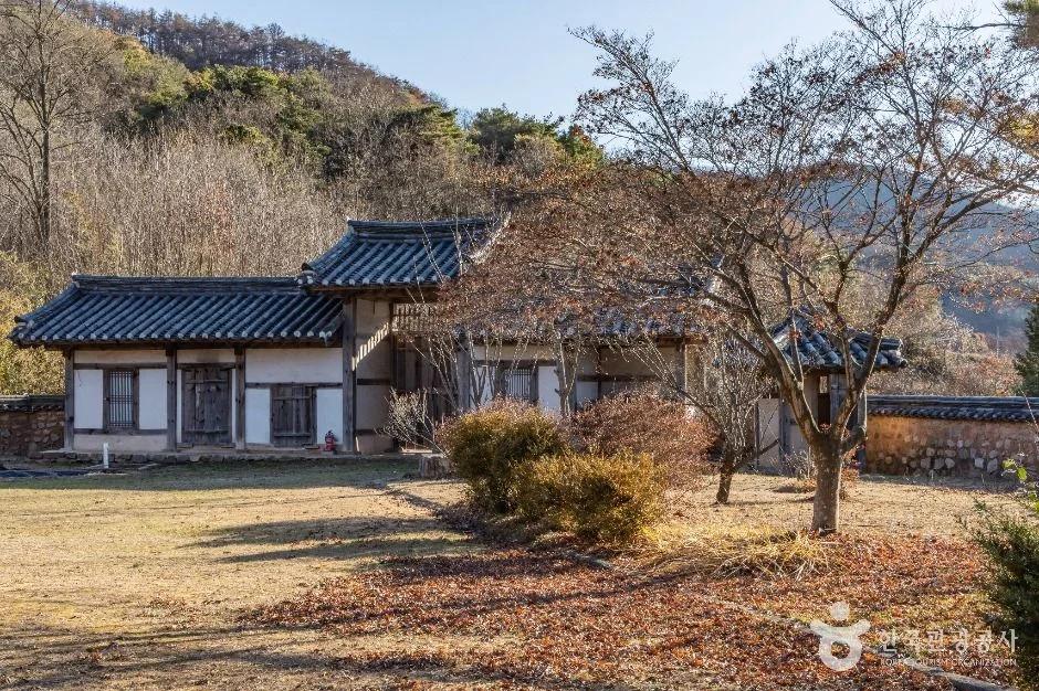 조선시대 고택에서 숙박이 무료라고요?"... 경상북도 안동시 전주유씨 무실종택 500년 전통의 아름다움