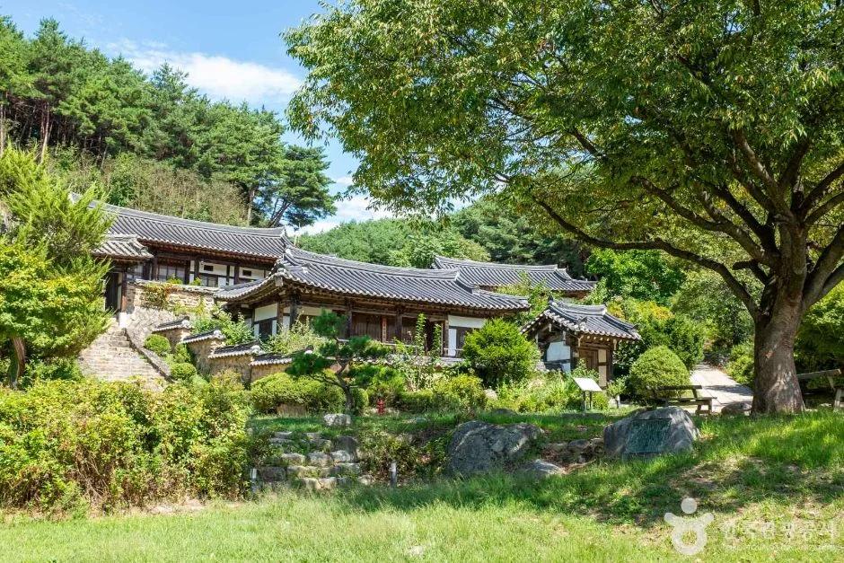 고즈넉한 한옥에서 힐링하고 싶다면?"... 경상북도 안동시 탁청정종가에서 만나는 500년 역사
