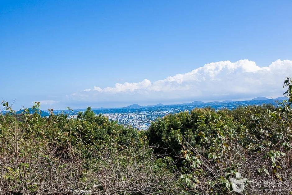 제주시 사라봉, 야경 명소에서 바라본 제주 시내 전망과 주차 팁