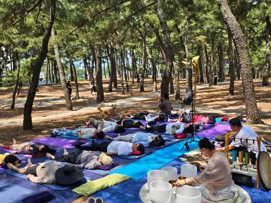 강릉해양레저 펫가족 힐링페스티벌, 안목해변 일정·체험 정보