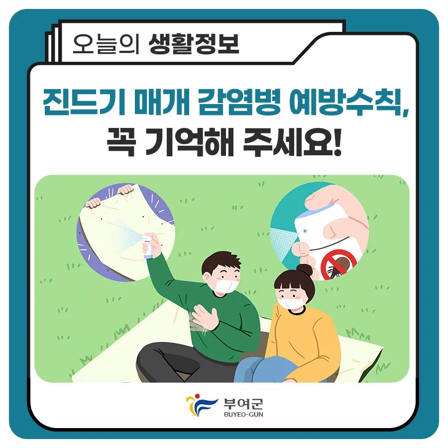 1400년 백제 역사를 품은 길이라고?"...충남 부여 궁남지에서 만나는 봄꽃 산책 코스