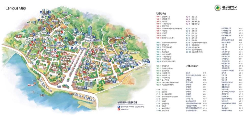 수도권에만 벚꽃 명소가 있다고?"... 경산 대구대 3.7km 캠퍼스길 피크닉