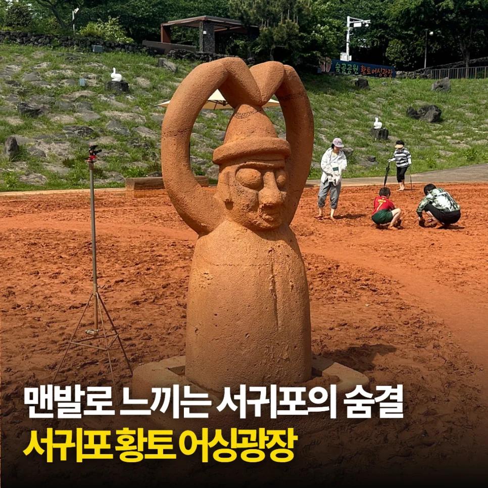 밤에도 폭포를 볼 수 있다고?"... 제주 서귀포 천지연폭포, 야간개장 현장 스케치