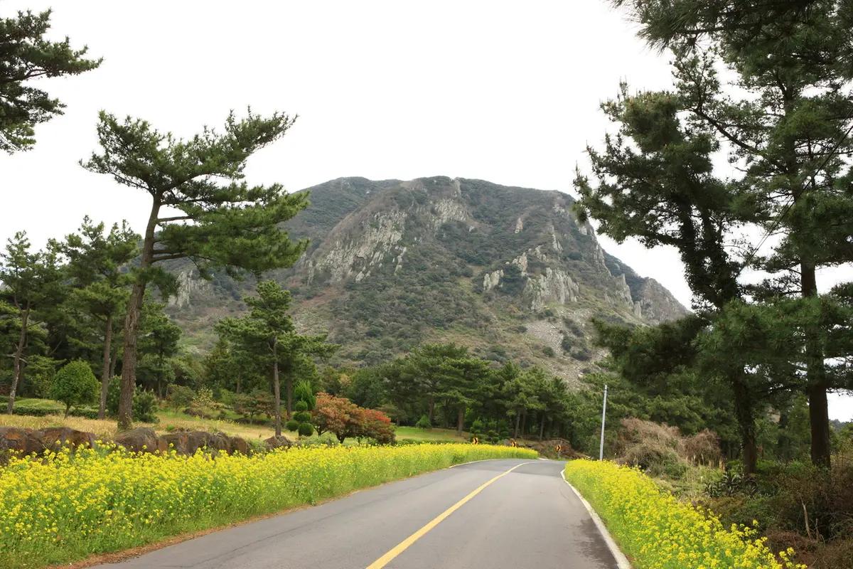 42년 만의 변신, 밤이 더 아름답다고?"... 제주 천지연폭포, 야간 개장으로 새로운 매력