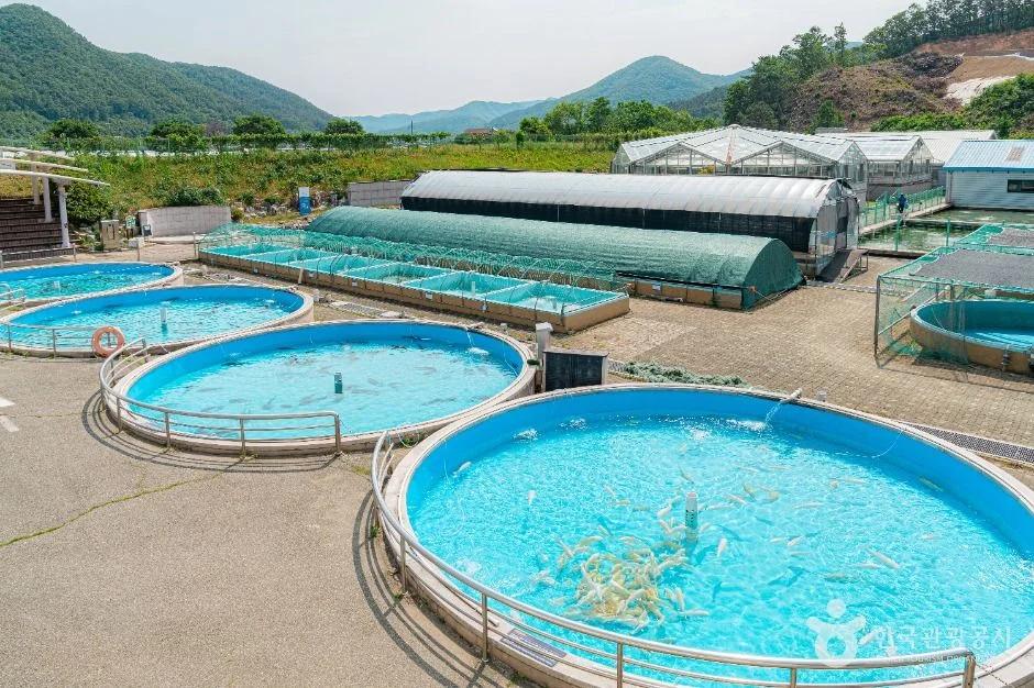 서울 근교에 이런 곳이?"... 경기도 여행지 1박 2일 추천 코스 5곳
