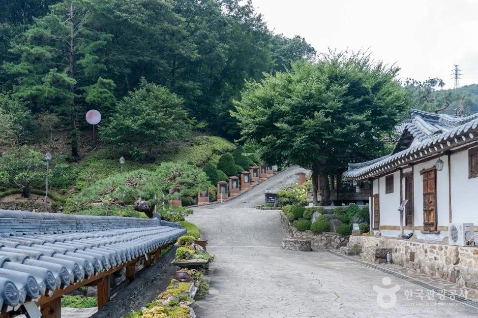 여기가 바로 힐링 천국"... 광주금강사우나 근처 1박2일 힐링 여행 코스