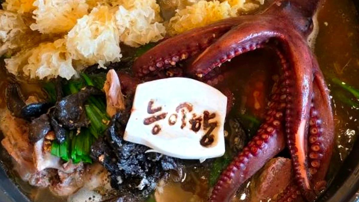 대식가도 반한 맛 실화?"... 생방송투데이 용인 능이해신탕, 육해공 보양식 비법