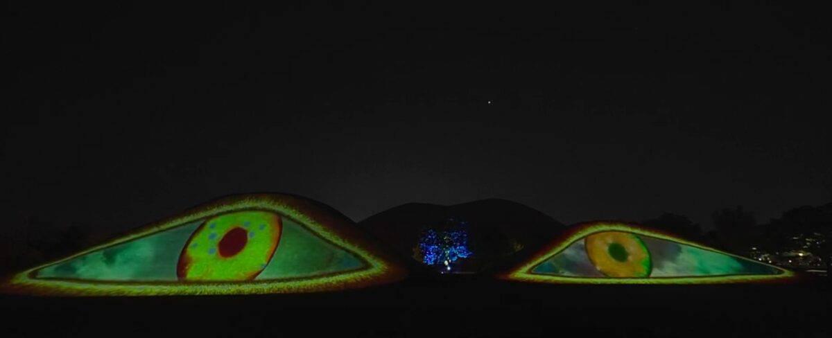 이 시간 가장 핫한 경주 야경 명소, 왕릉 유적지 대릉원 녹턴 미디어아트(+위치, 기간 총정리)