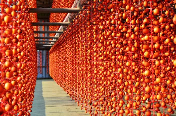 초겨울 달콤 촉촉한 곶감, 논산 양촌곶감축제에서 만나보세요!