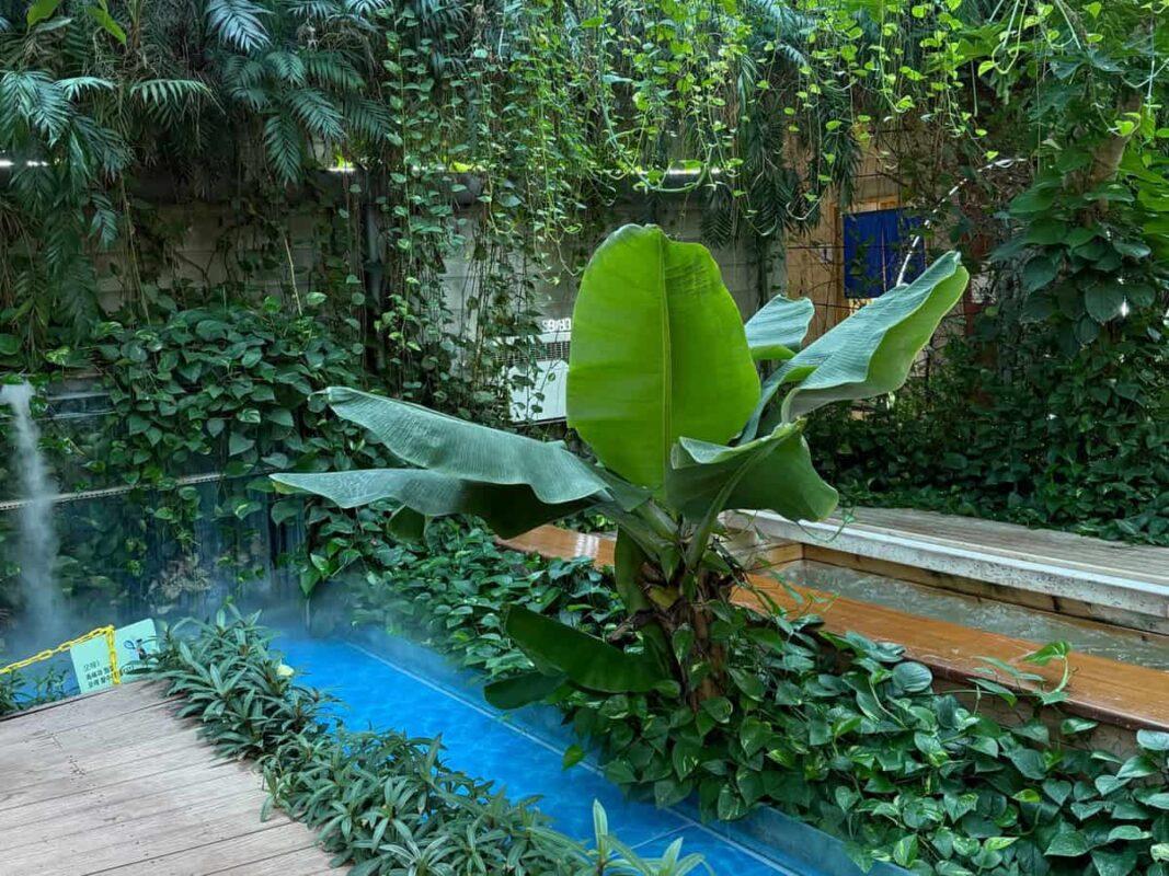 양평 미리내힐링클럽: 숲속뷰에서 즐기는 이색 찜질방 힐링 여행