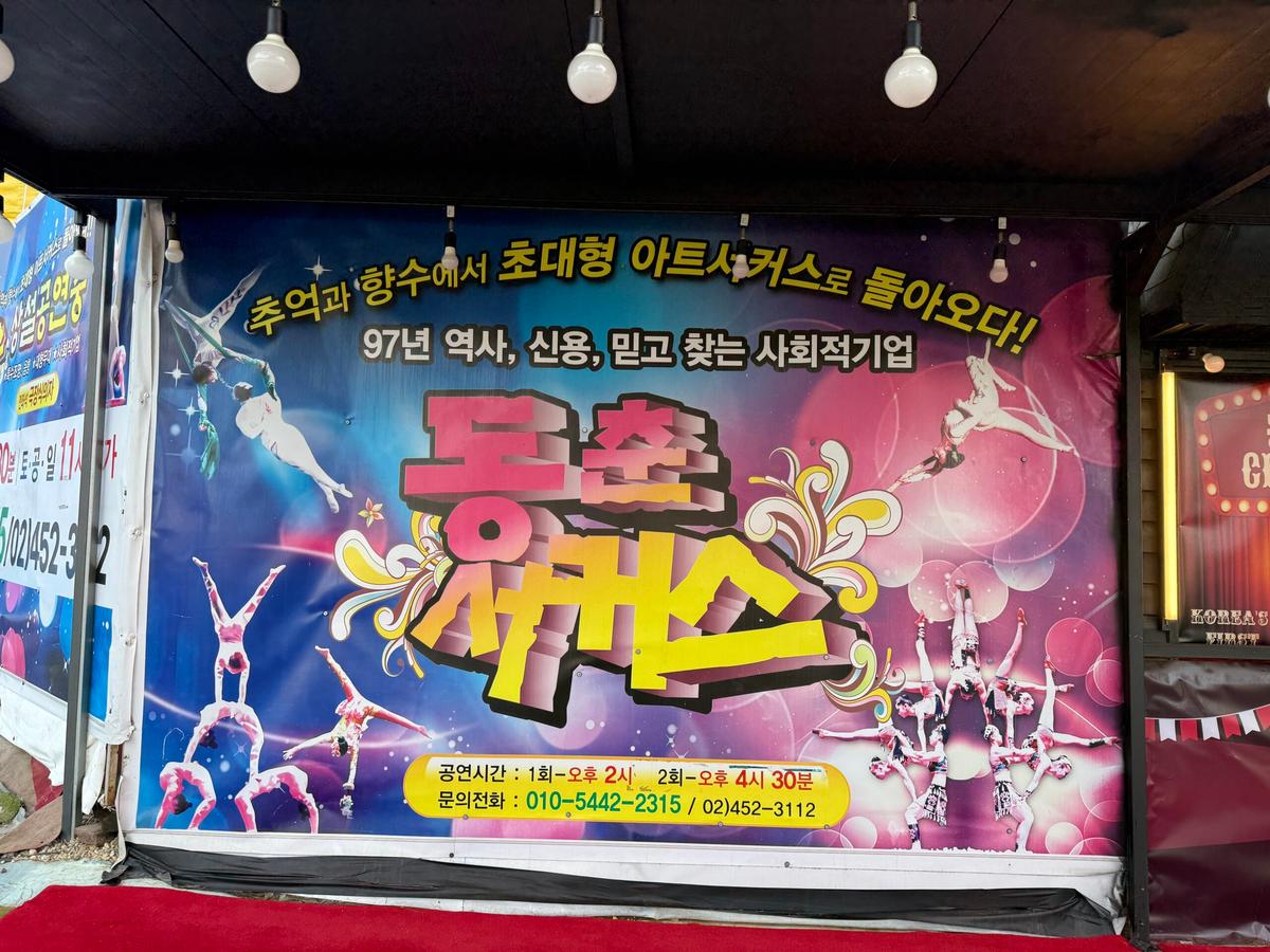 안산 여행 필수코스! 100년 전통의 동춘서커스, 국내 마지막 서커스의 감동