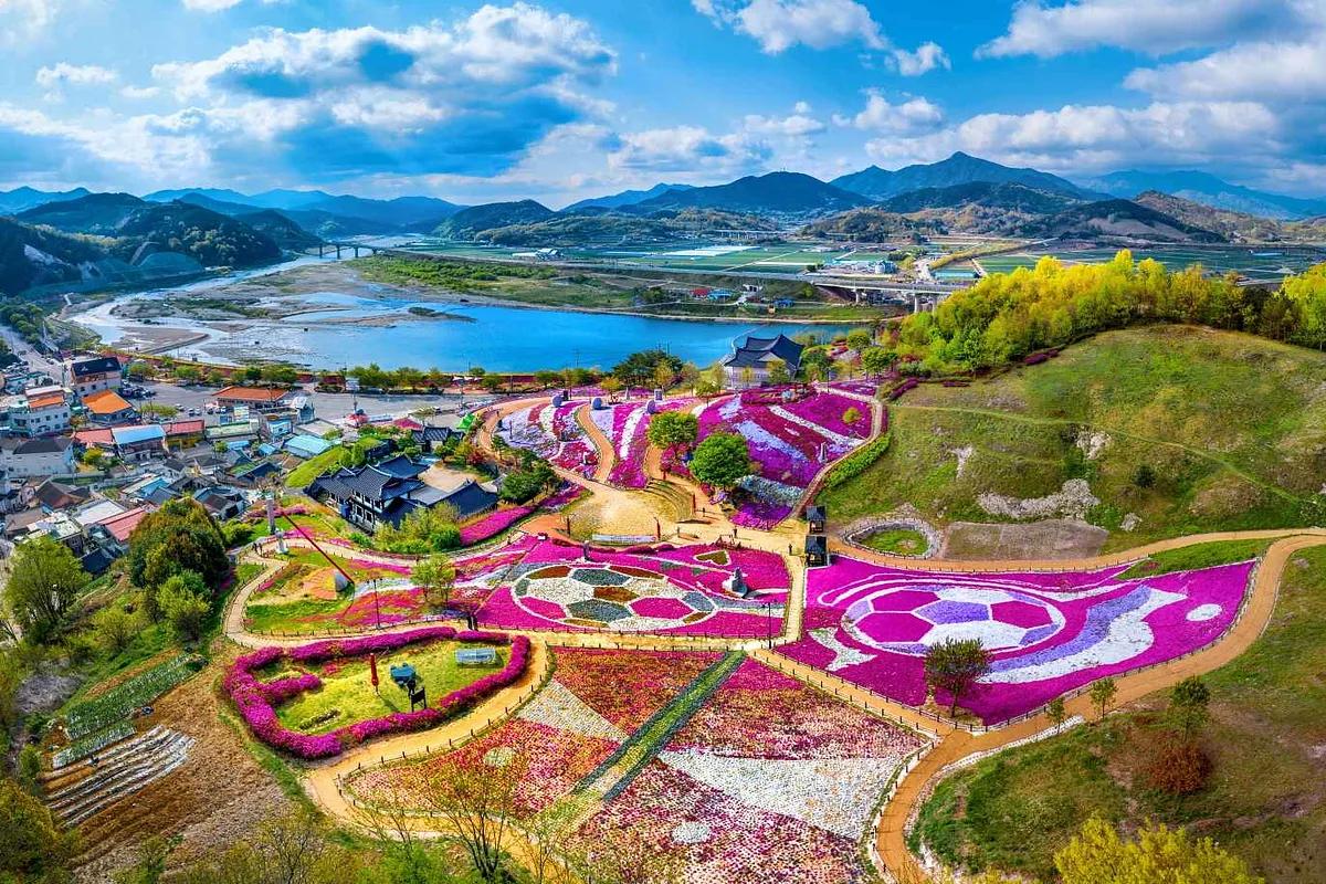 끝없이 펼쳐진 3만㎡ 꽃잔디, 산청 생초로 떠나는 이유