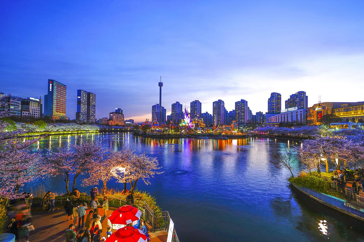 석촌호수 벚꽃 축제 잠실 데이트 코스 3월 4월 가볼만한곳