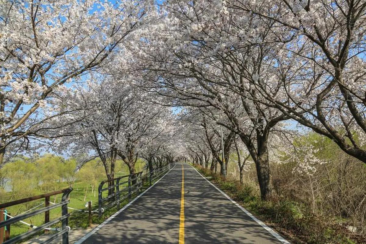 서울에서 1시간! 봄을 만끽할 수 있는 양평 나들이 명소 3곳
