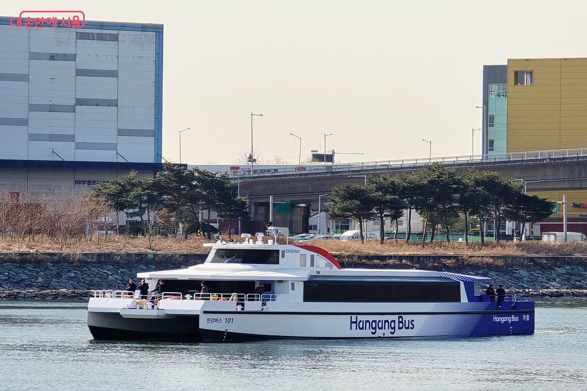 서울에 없던 충격적인 교통수단 등장! 벚꽃 명소 가는 가장 핫한 방법