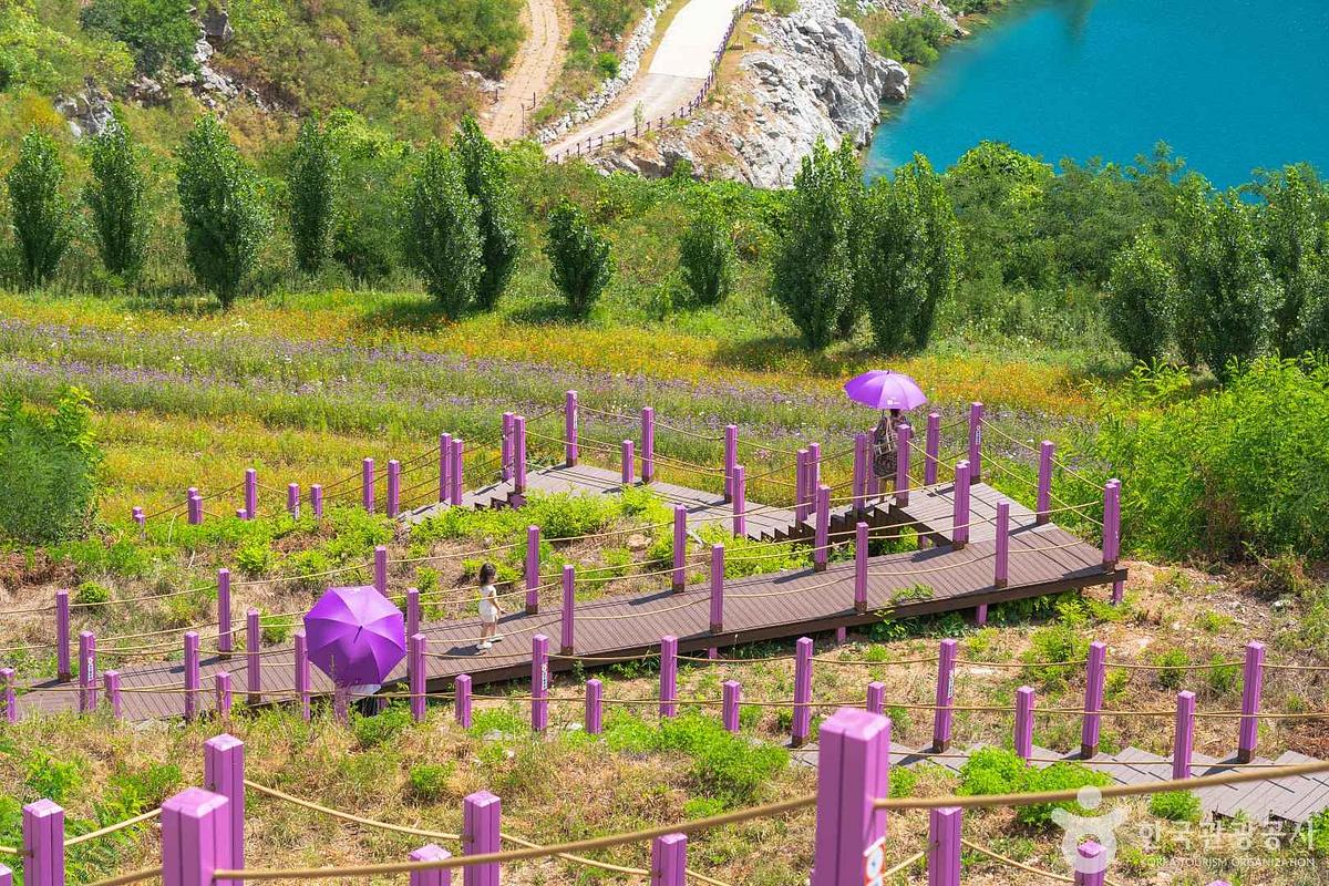 “언제까지 속초만 갈래요?” 동해시가 작정하고 만든 충격적인 체류형 관광지 TOP 5