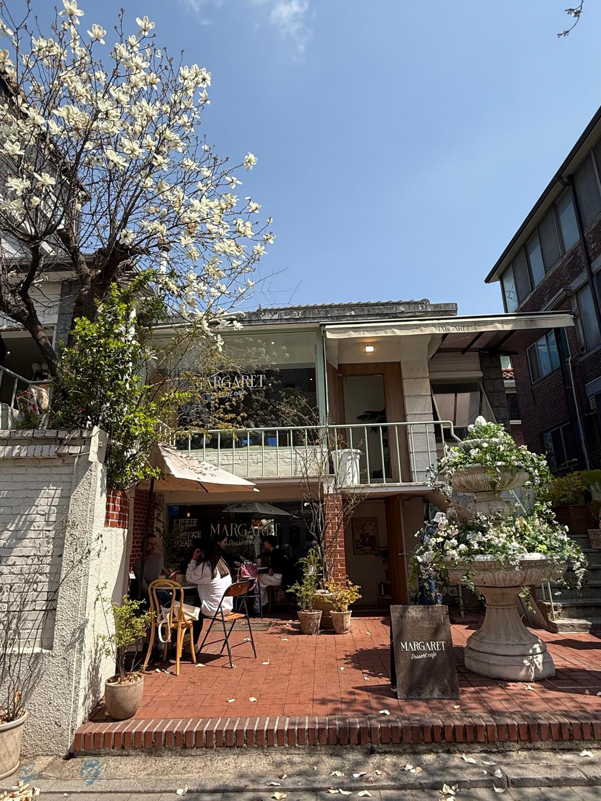 목련 만개한 연남동 ‘마가렛 연남’, 테라스 뷰가 예술인 감성 카페