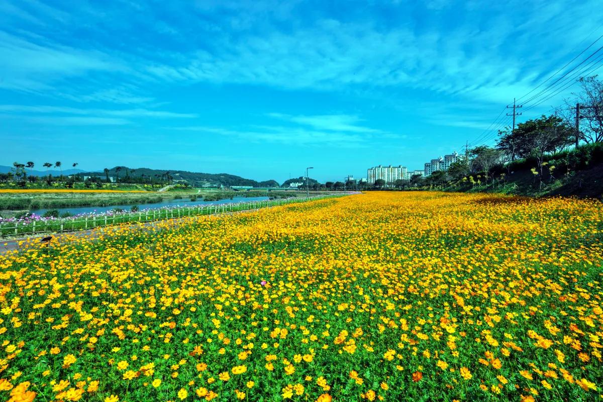 “이곳은 꼭 가야 해”… 2025 전국 정원축제 명소 총정리