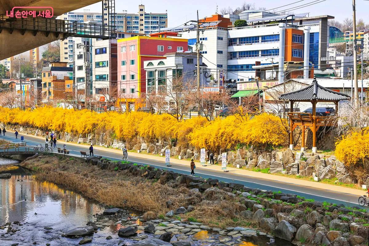 “수변 감성 가득”… 서울 속 힐링 걷기 코스 홍제천 나들이