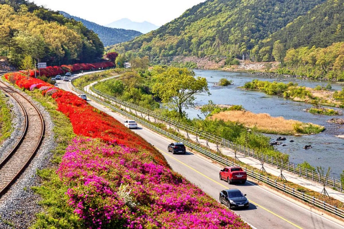 “5월 장미축제 개막”… 곡성·태안·아산 가족 여행 명소 3선