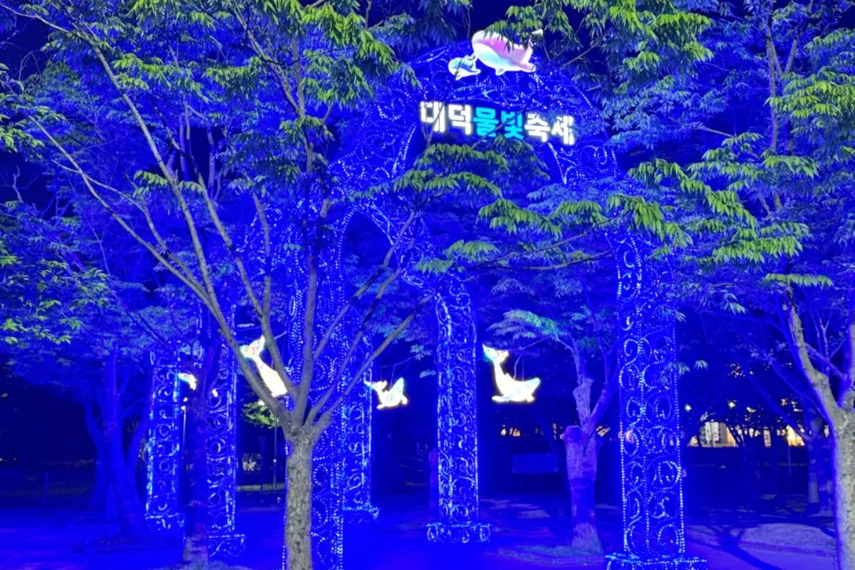 “지금 가야 찐이다”… 대청호 루미페스타 감성 야경 명소