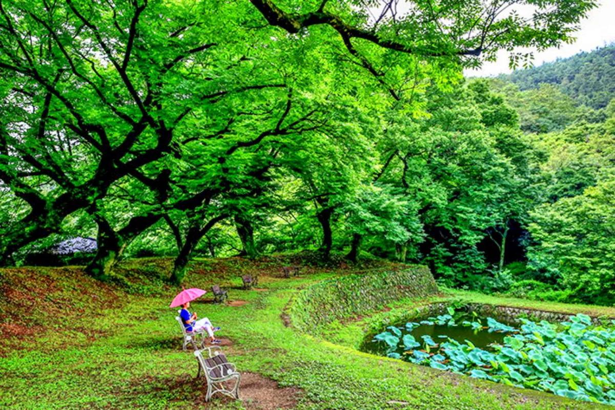 “촉촉한 돌담길”… 대구 옻골마을 비 오는 날 명소