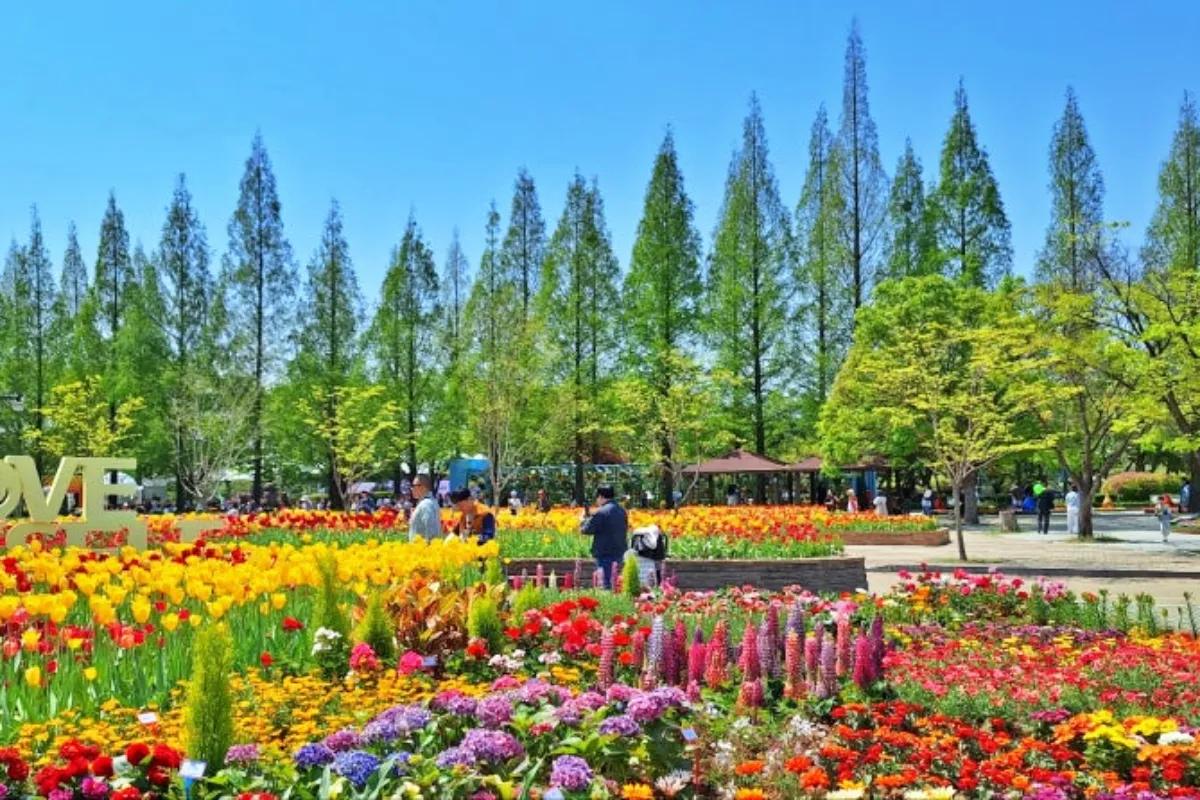 “온갖 봄꽃 다 본다”… 고양국제꽃박람회 국내 최대 봄꽃 전시