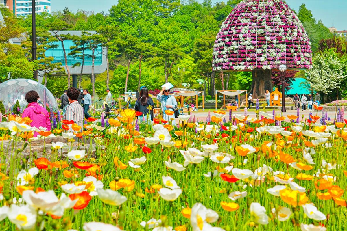 “나비·황금박쥐 총출동”… 함평 나비대축제 가족 여행 추천