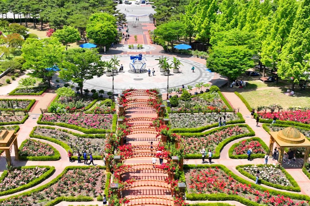 “5월 단 24일간”… 한밭수목원 봄꽃축제 부모님 나들이 추천