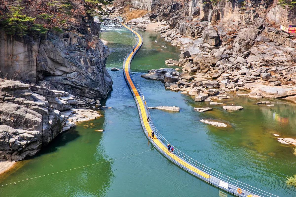 “10만 평 봄꽃 향연”… 포천 한탄강 봄 가든 페스타 2025