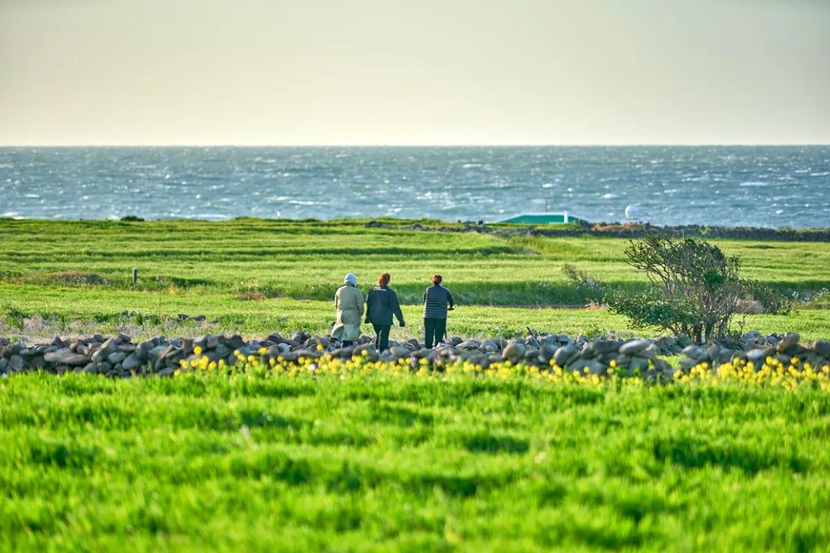 “청보리 물결 속 힐링 한 스푼”… 서귀포 4월 여행지 총정리