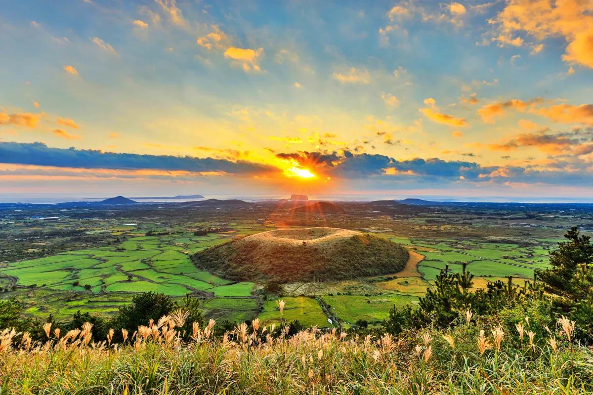 “놓치면 후회할 봄 여행”… 제주부터 강릉까지 전국 핫플 5선