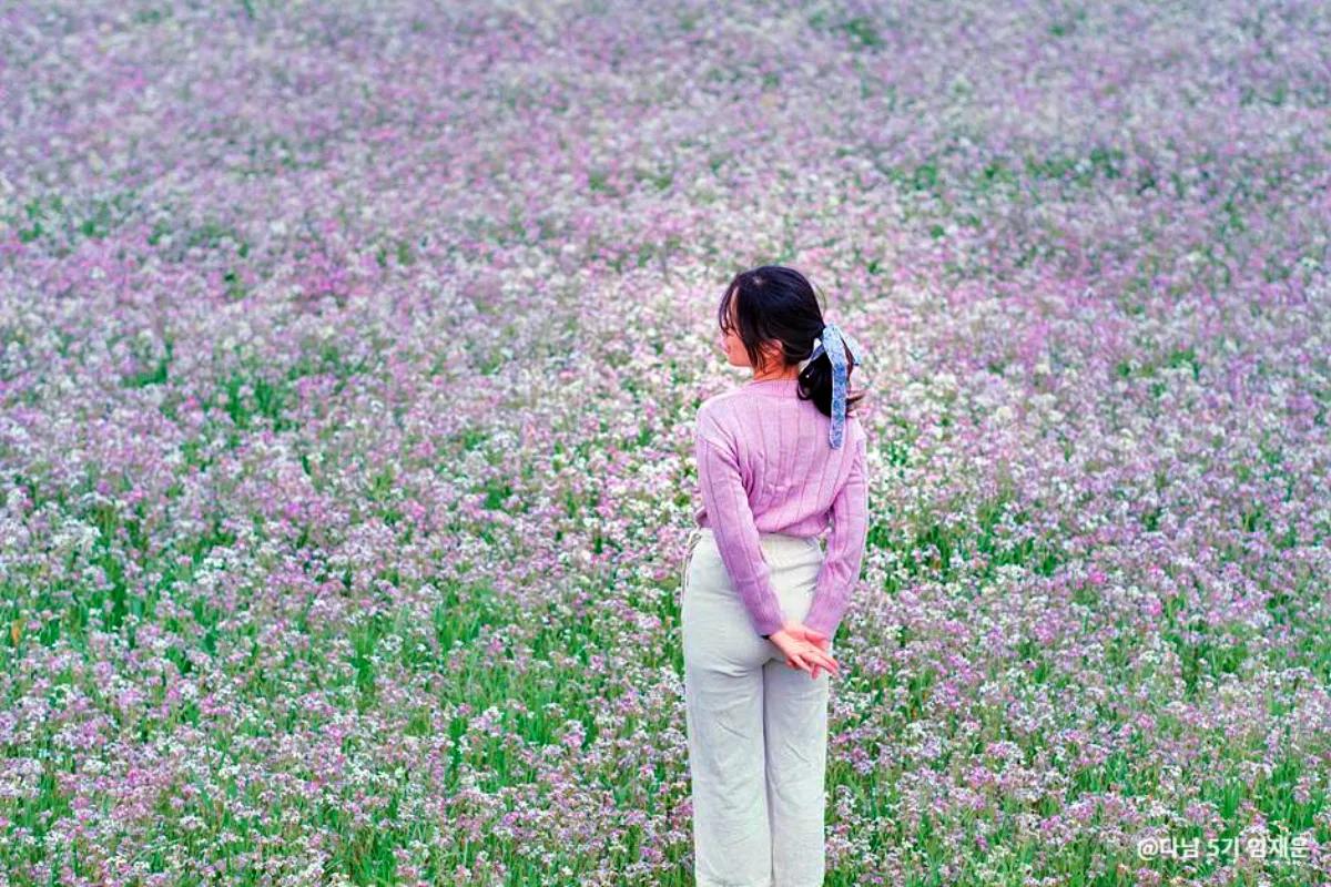 “이 꽃 보려면 지금뿐”… 5월에만 열리는 제주의 비밀 정원