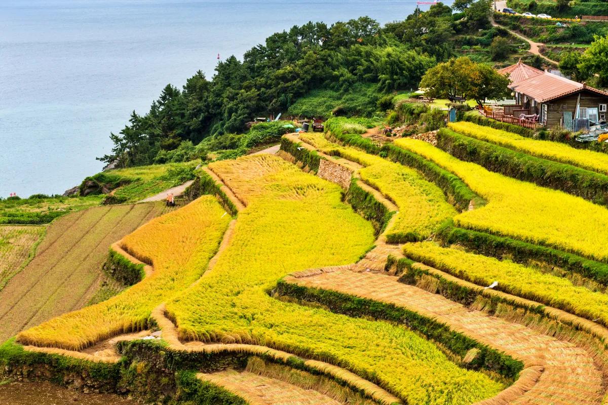 “올여름 인생샷 예약”… 남해 다랭이마을 감성 여행지