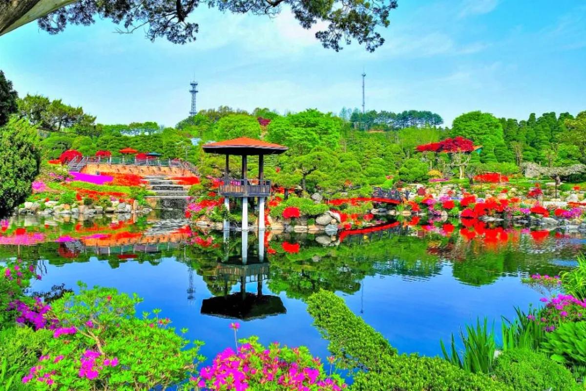 “안 가면 1년 기다려야 한다”… 2025 세종 베어트리파크 봄꽃 축제