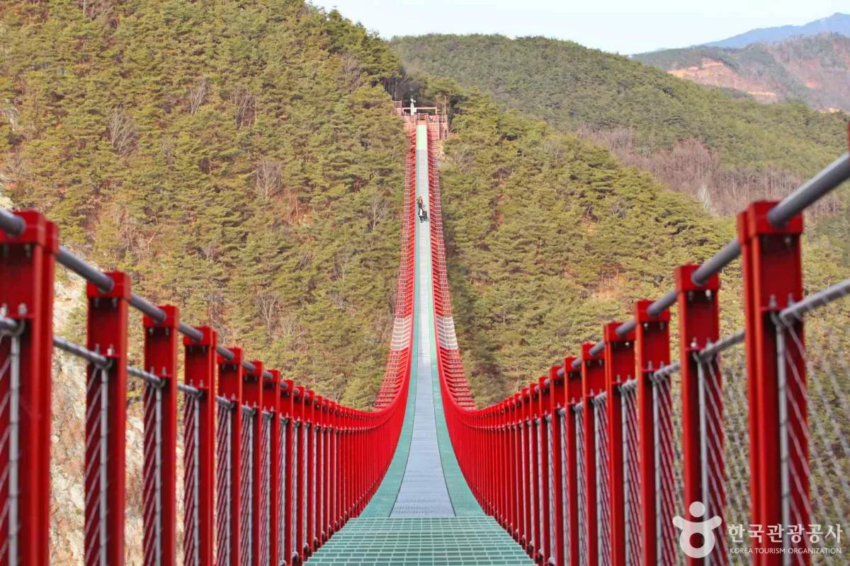 “노란 물결이 밀려온다”… 순창 채계산 유채꽃 출렁다리 명소